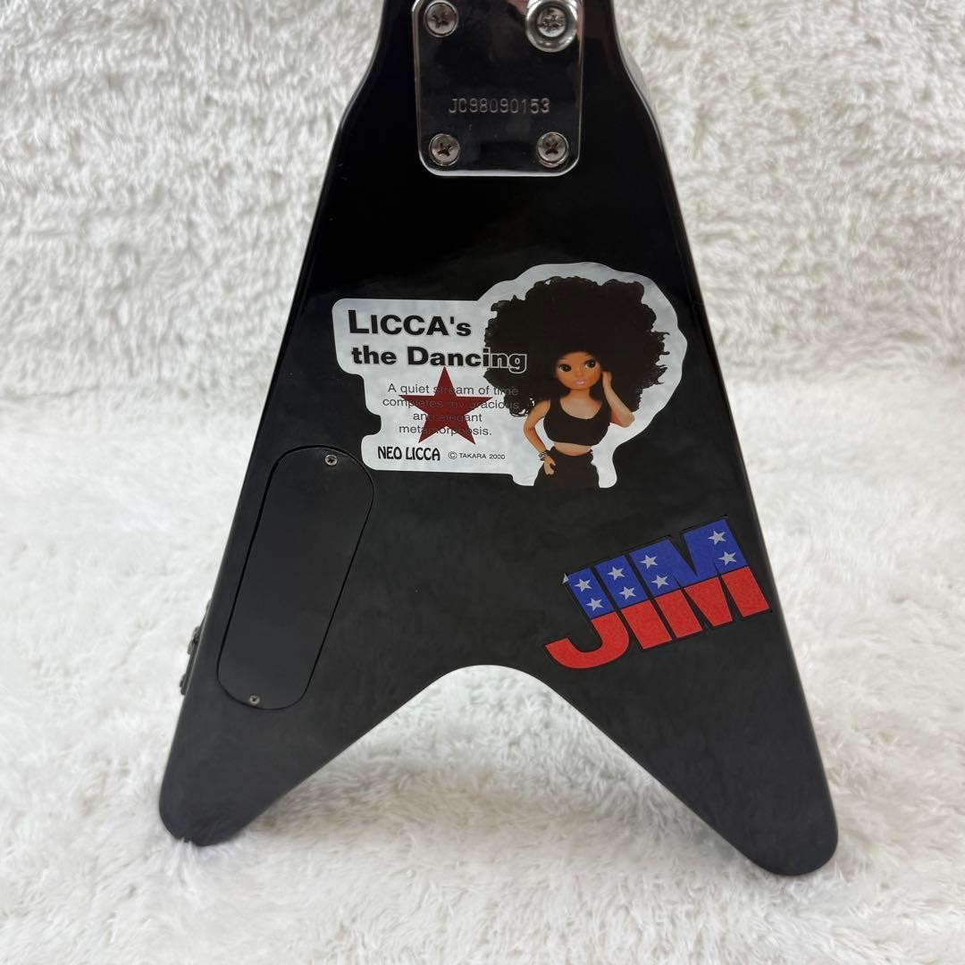 Epiphone mini flying V Safe Packing!