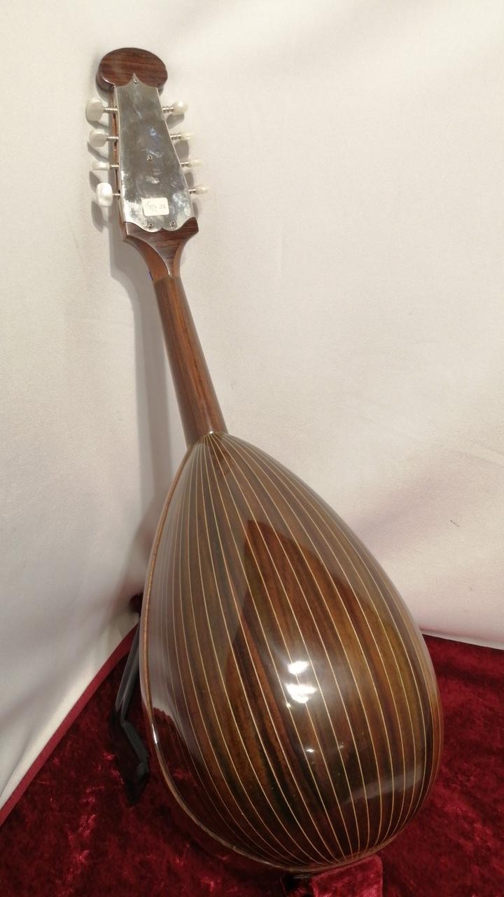 CALACE No.24 Mandolin