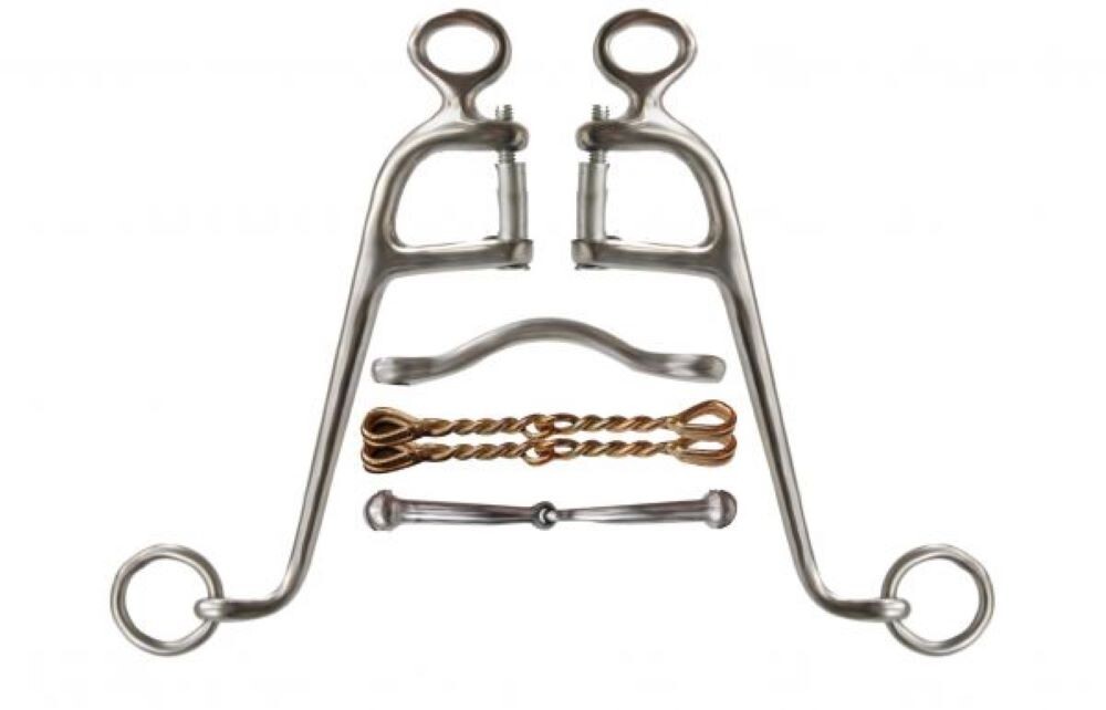 Stainless steel WALKING HORSE BIT w/ 8" Cheeks 4 Interchangeable 5" mouth pieces