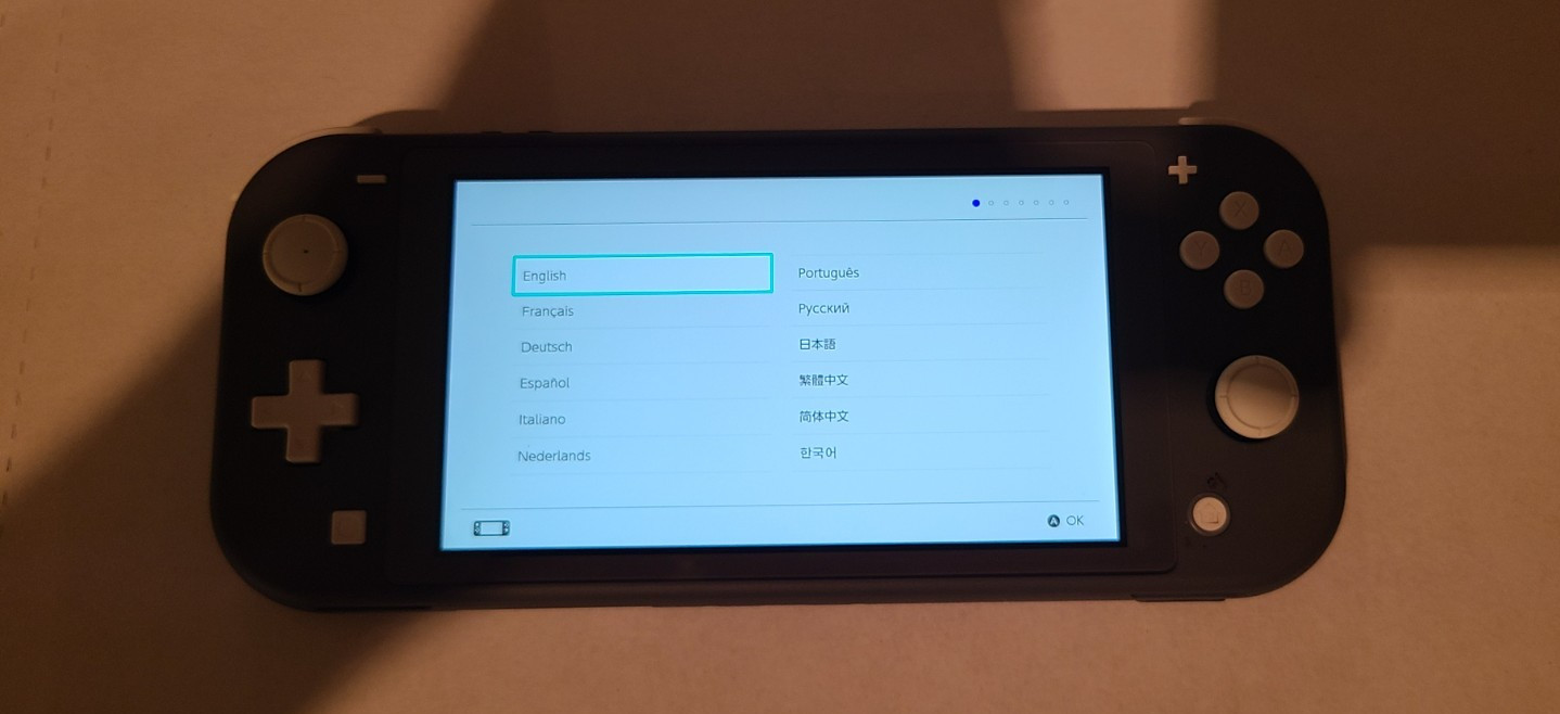 Nintendo Switch Lite Gray Handheld System