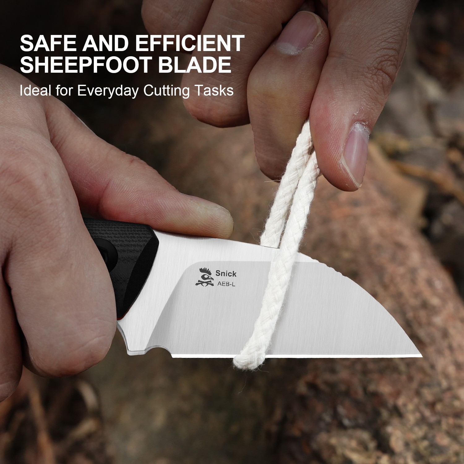 Kizer Snick Fixed Knife AEB-L Blade G10 Handle With Sheath Sheepsfoot 1085A1
