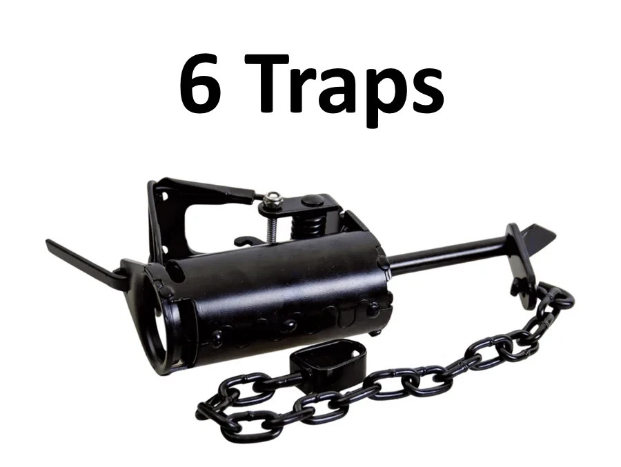6 Bridger T3 DP Dog-Proof Trap Trapping Supplies 6 Traps