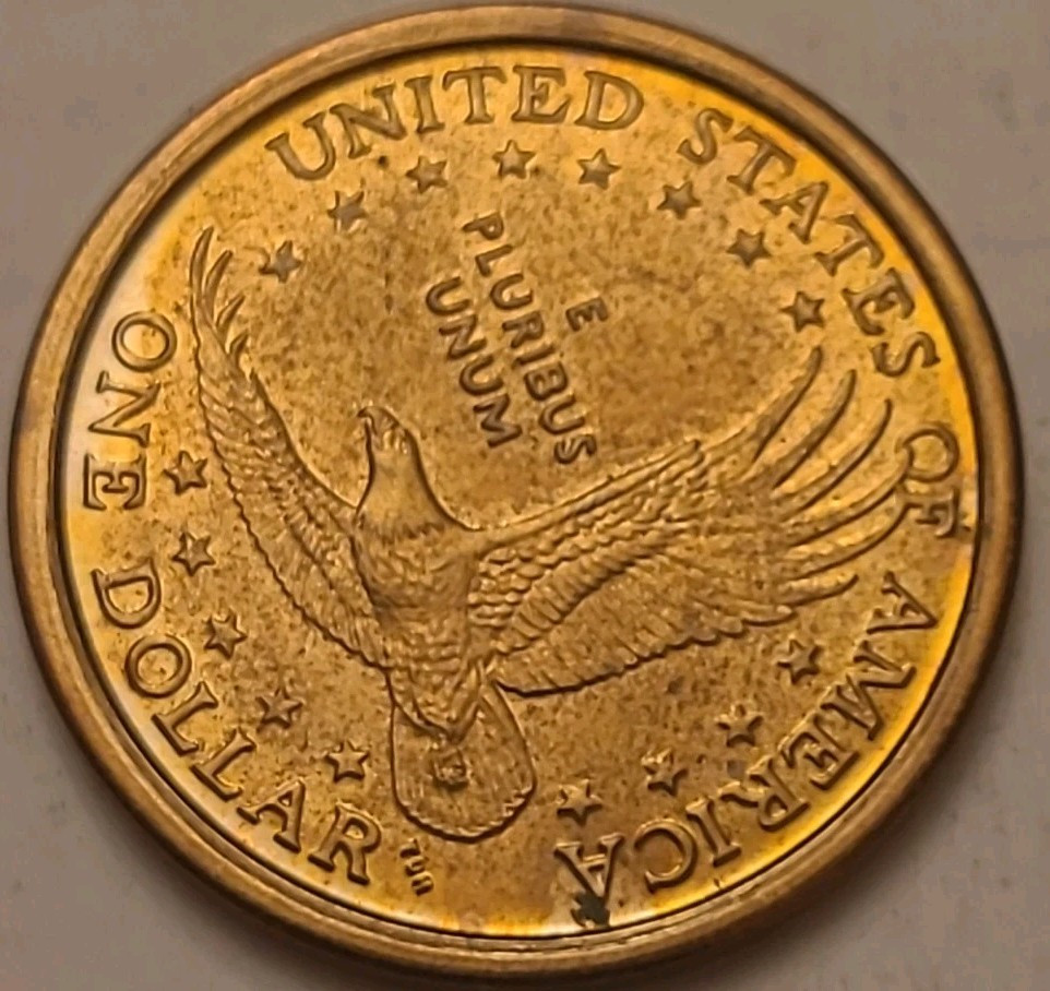 sacagawea dollar 2000 P Error