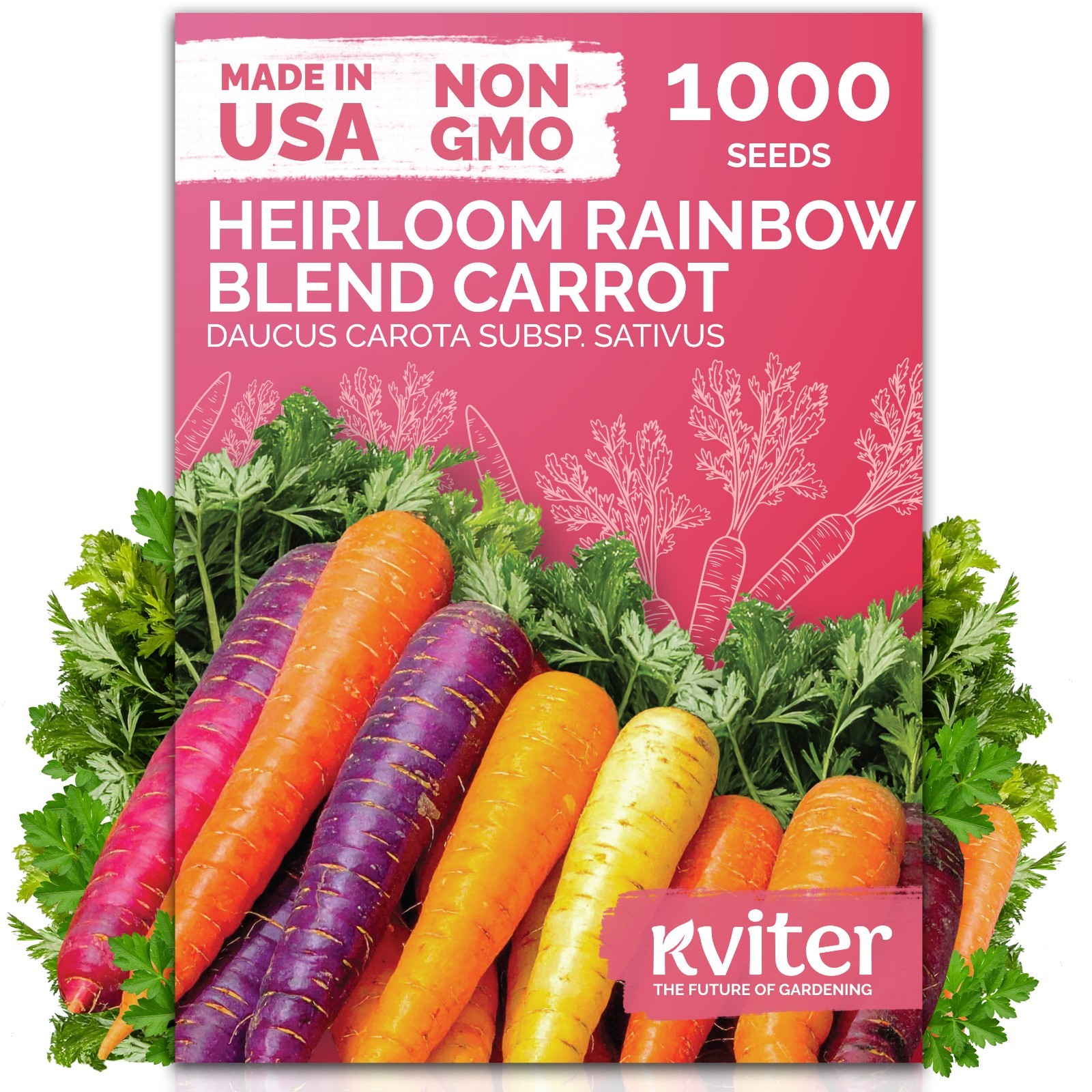 1,000 PCS - Rainbow Carrot Seeds (Daucus Carota) - Baby Carrots Mix, Sweet & Ten