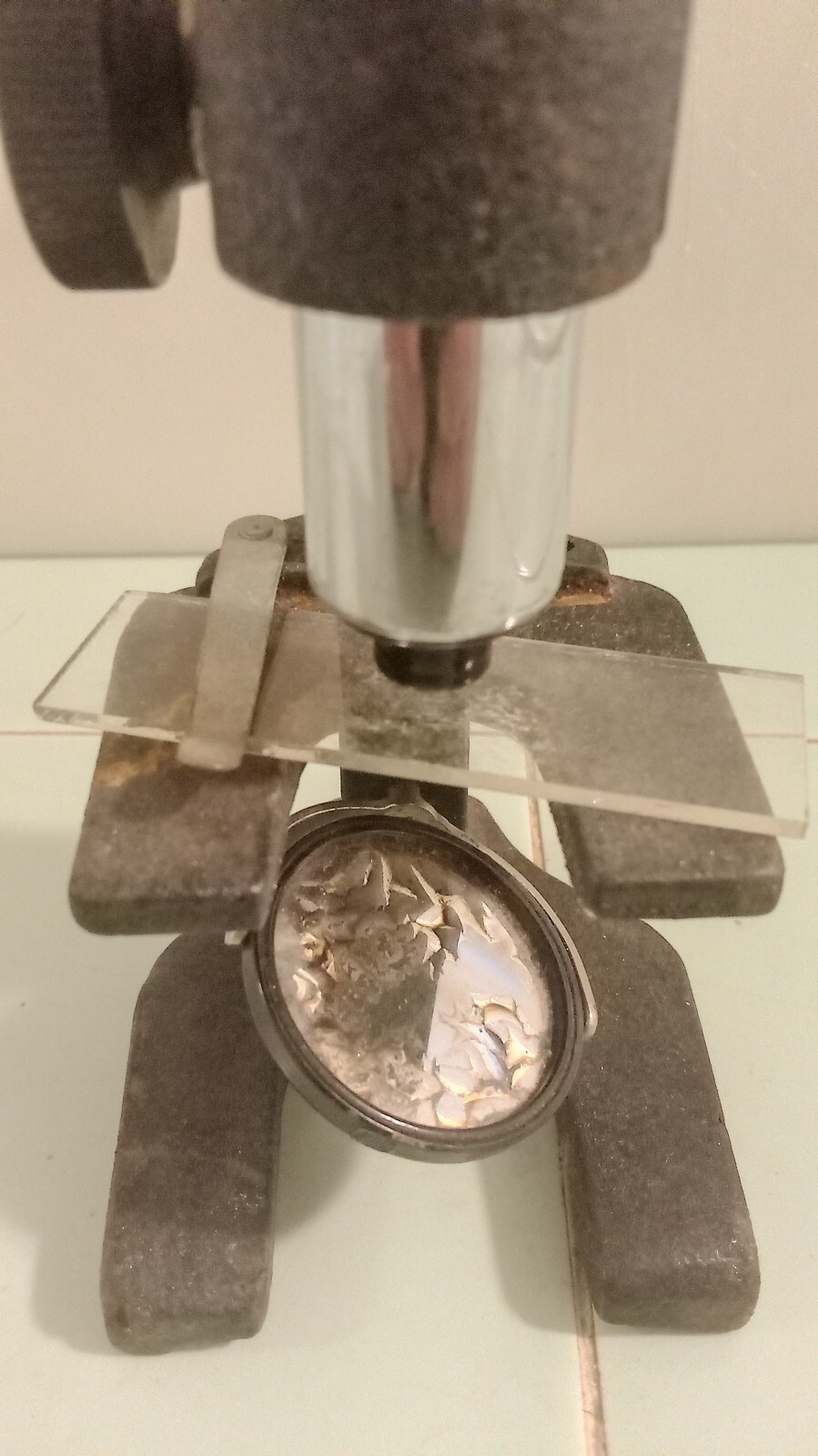 Wollensak Rochester 100 Power Microscope
