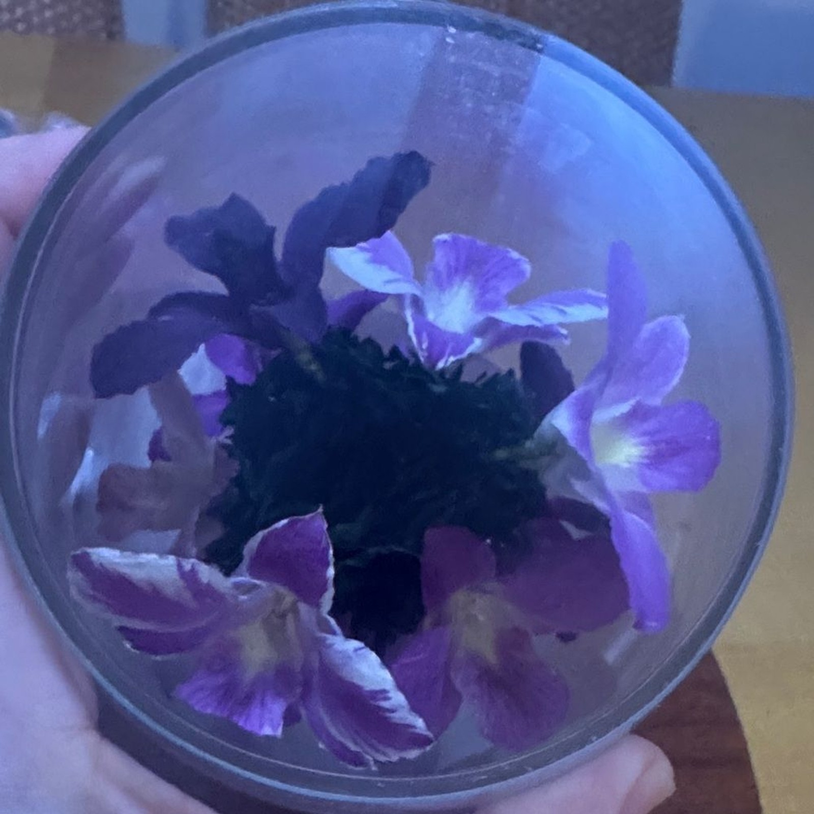 Danbury Mint Miracle Orchids