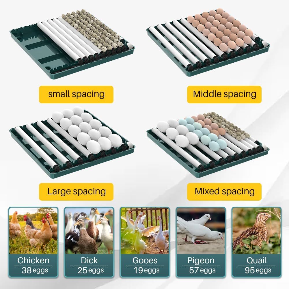 Egg Digital Poultry Hatcher Machine Automatic Egg Turning Temperature & Humidity