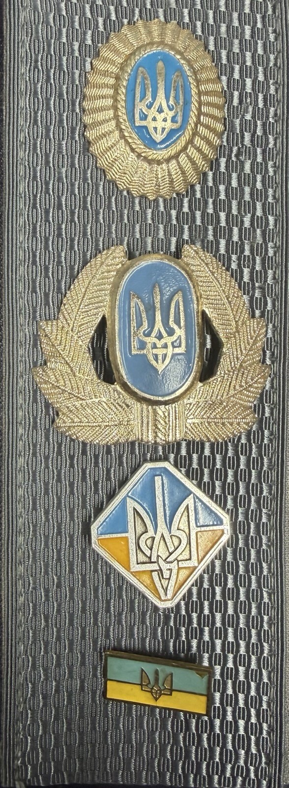 Old Original Ukrainian Officer Army Badge Pin Set