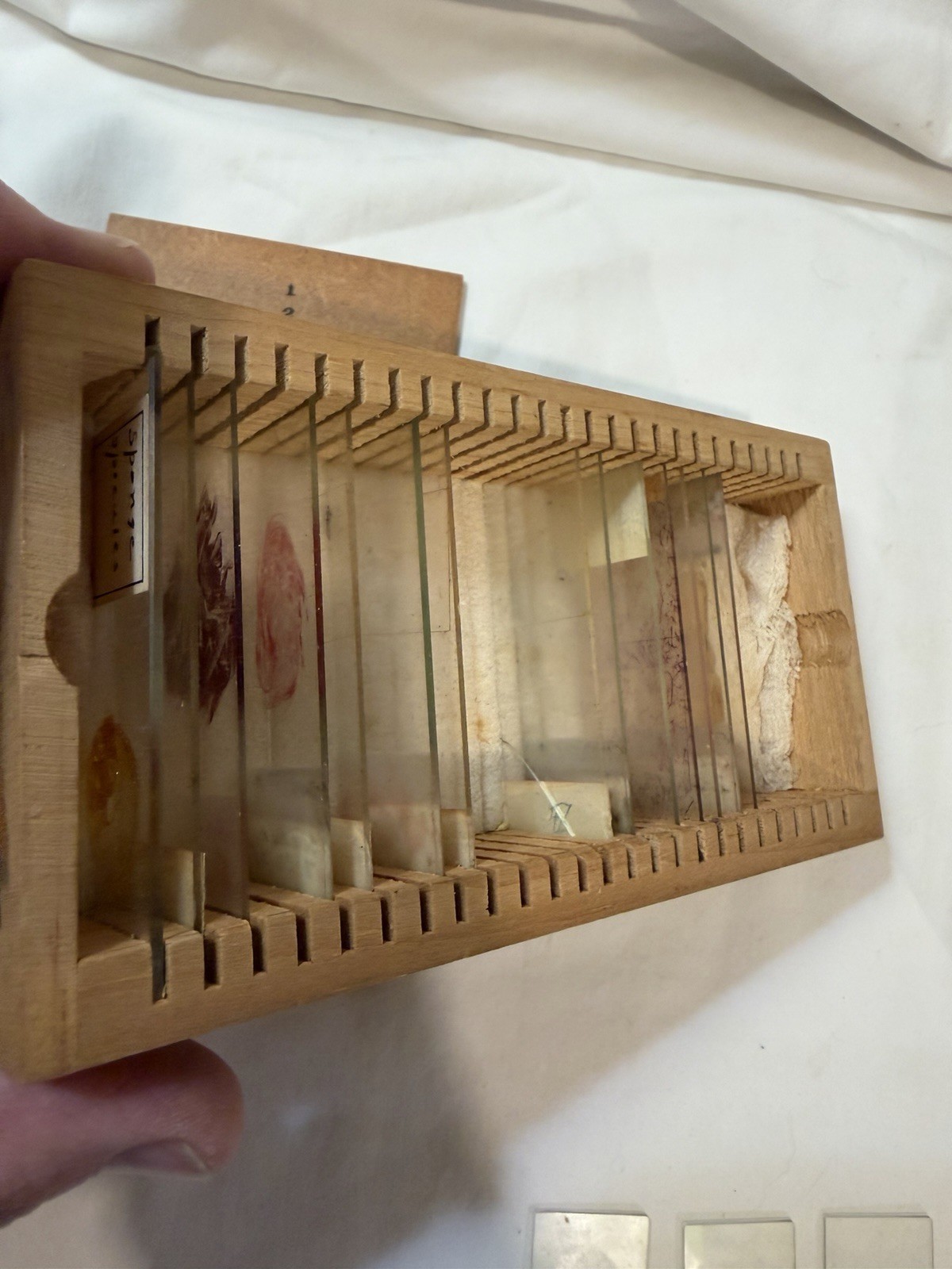 Vintage Microscope Medical Lab Slides