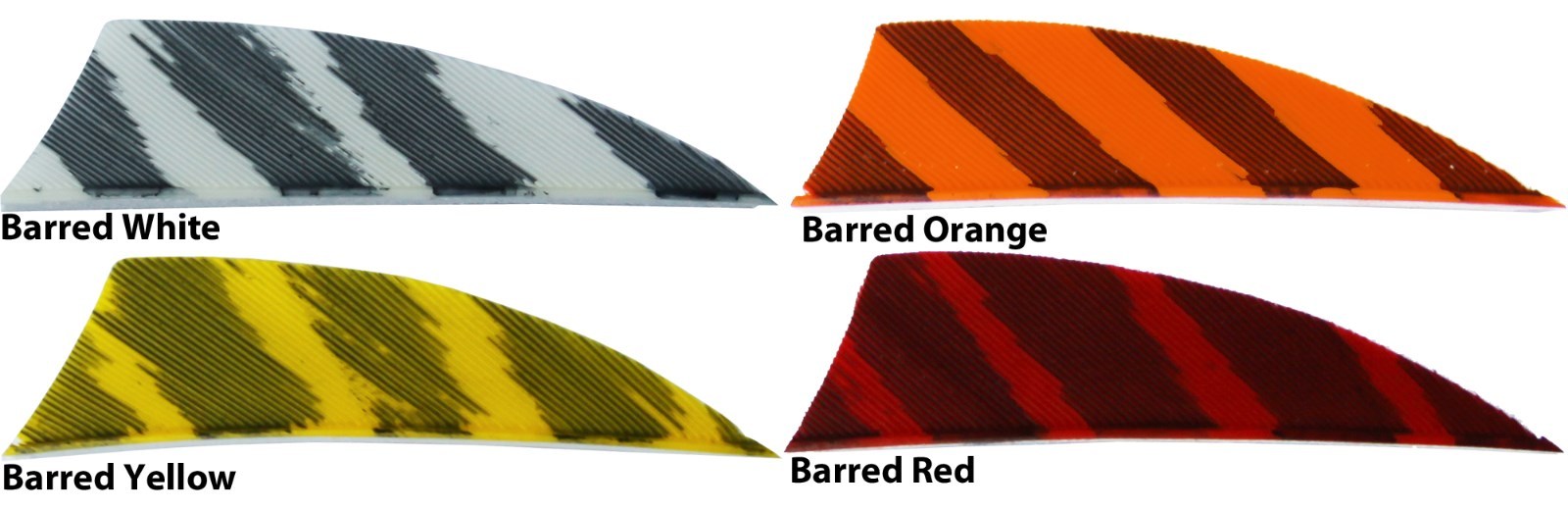 Gateway Feathers 2" Rayzr R/W 50 pk Barred Red Orange Yellow White