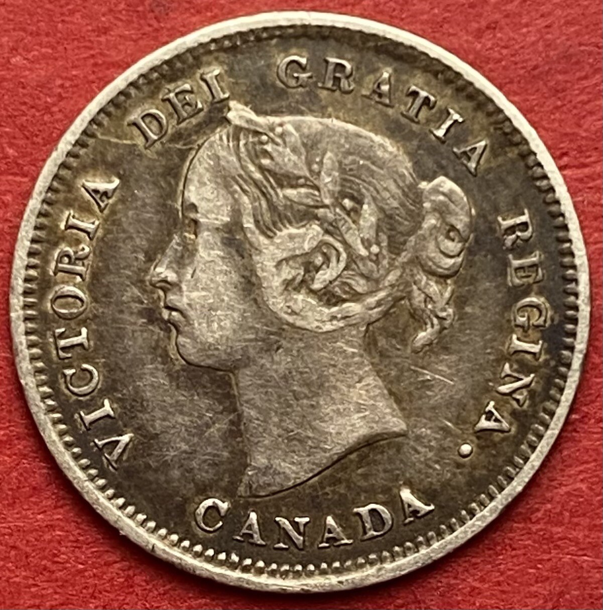 1886 Canada 5 Cents Small 6 - VF/EF - Lot#7918