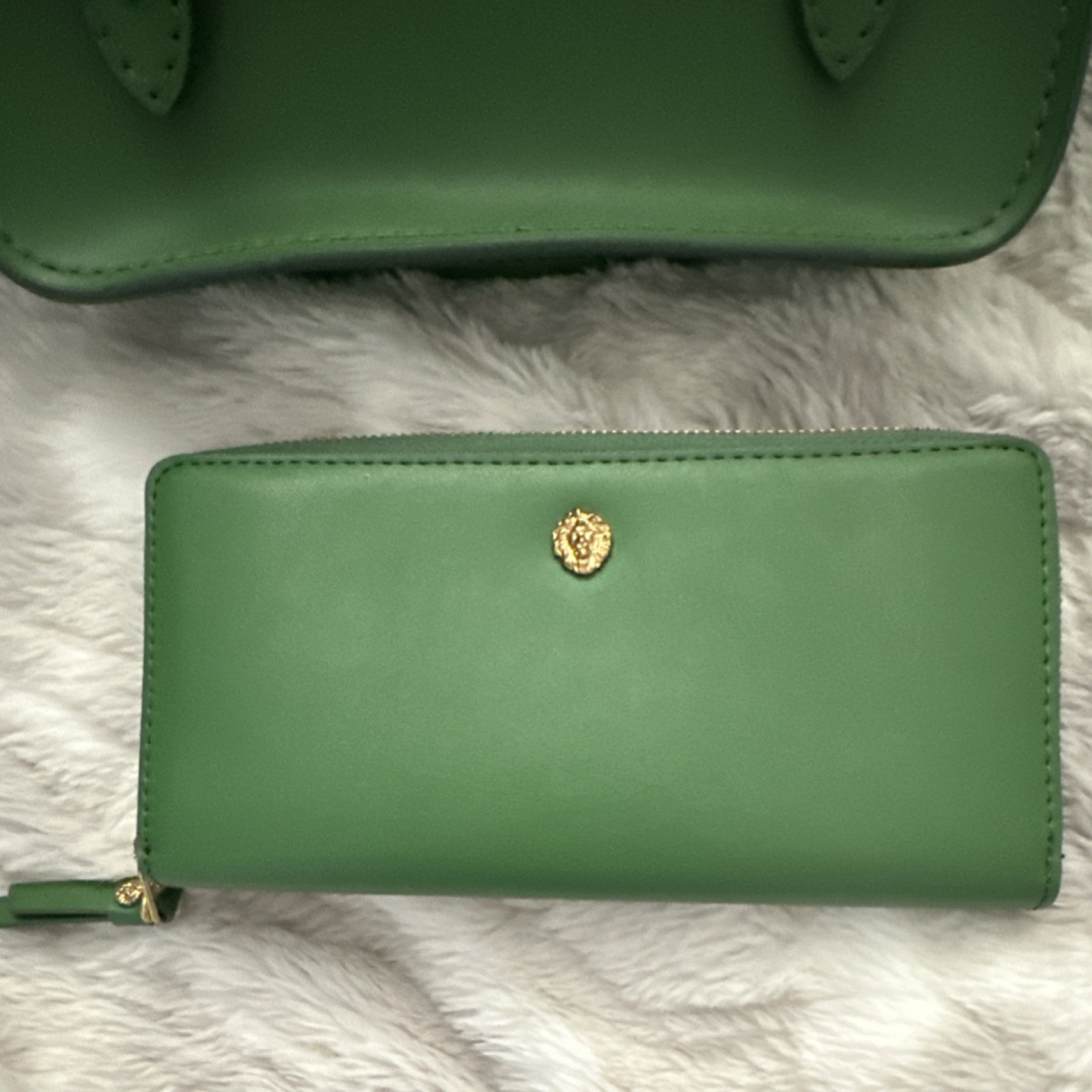 Anne Klein beautiful green Crossbody and matching wallet. New without tags.