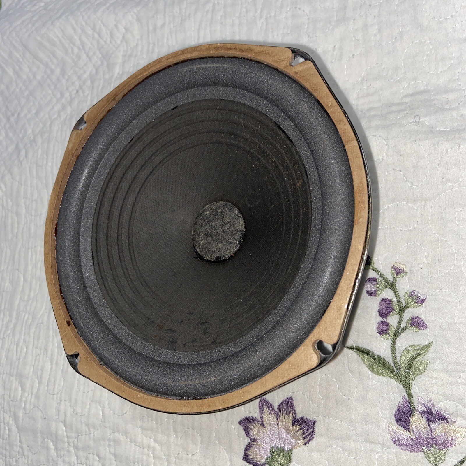 1 ) Jensen P8RS Alinico 8" Woofer