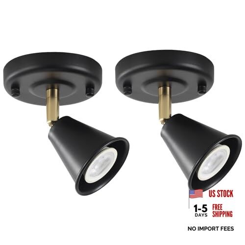 Modern Flush Mount Ceiling Spot Light, Adjustable Directional 1 light (2 pack)