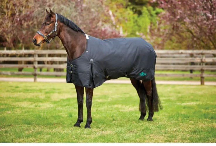 Horse Turnout 1200D With Gusset Standard Neck Heavy II 81"inch Black