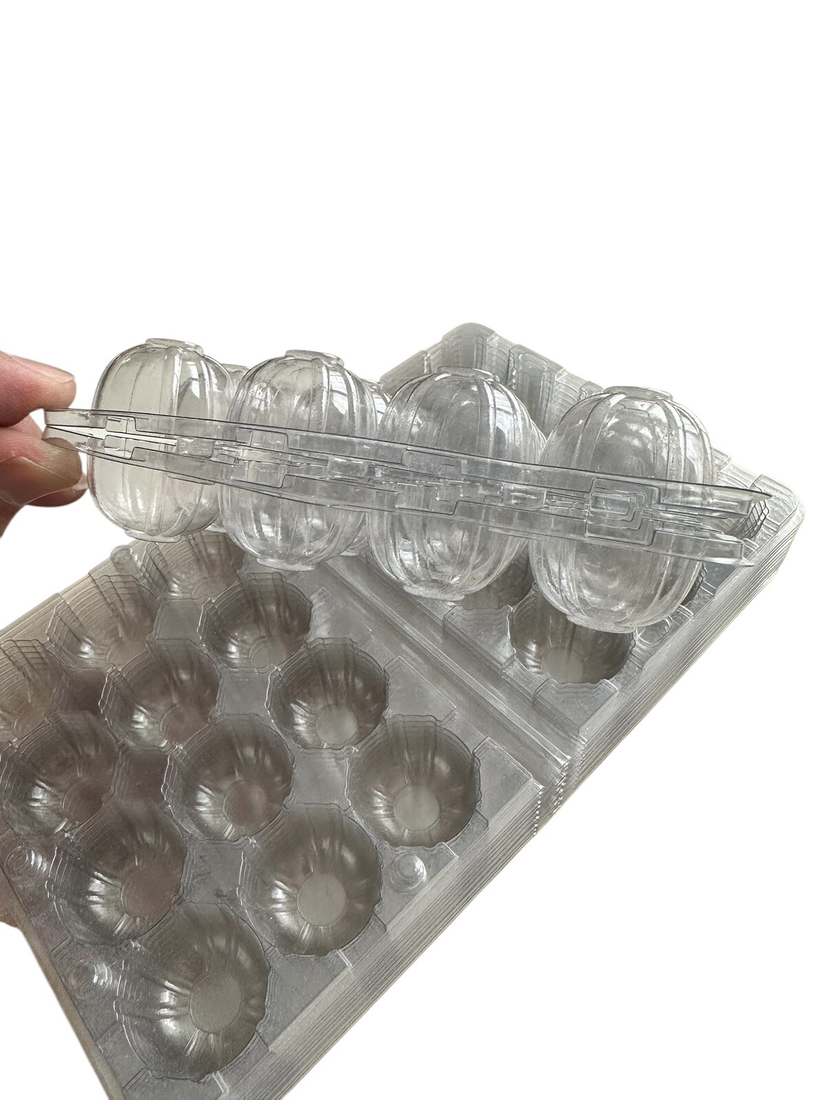 50pcs Quail Egg Cartons 12 Cell Secure Snap Close, Free Shipping