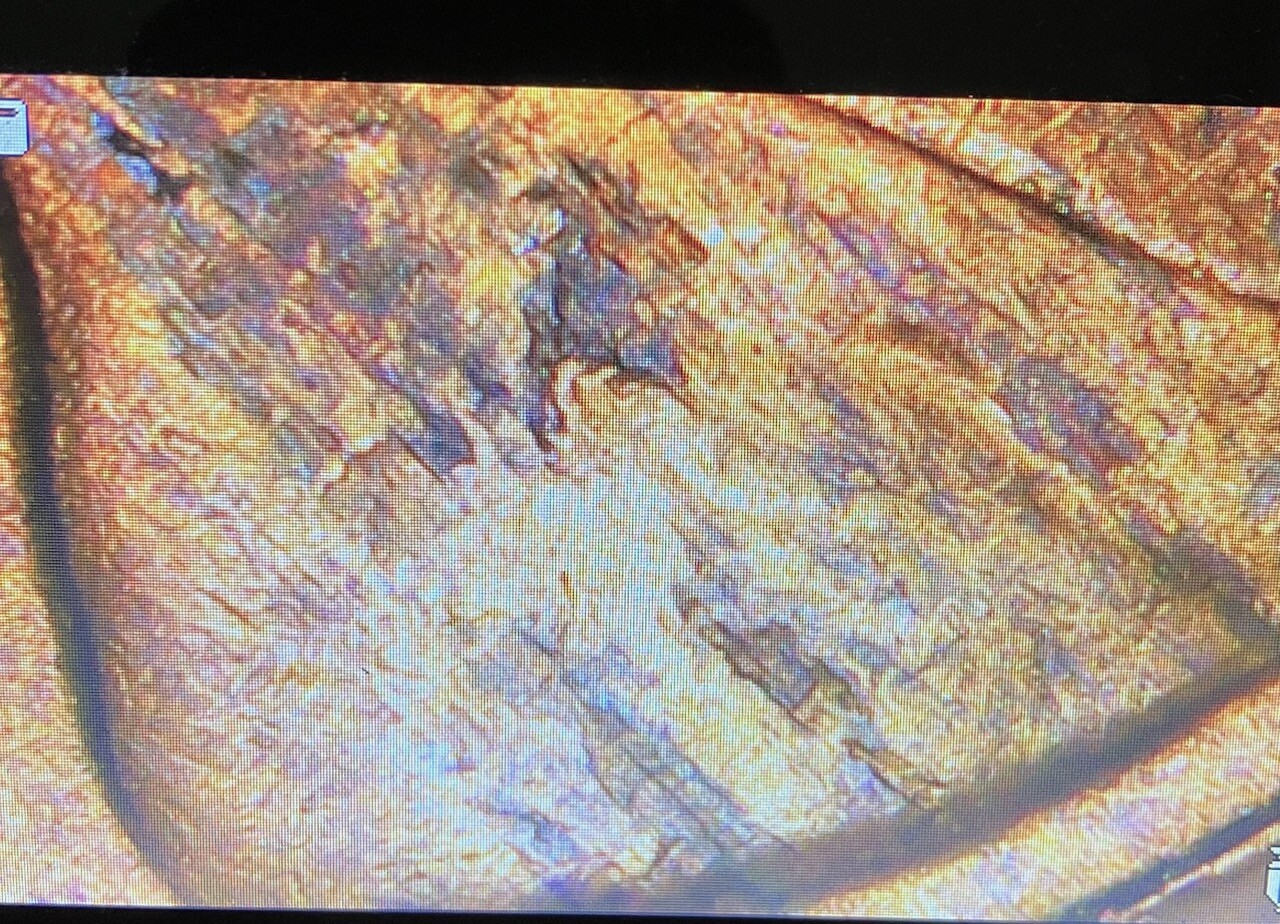 1946 S Lincoln Wheat Cent Lamination / Struck Through Grease Error