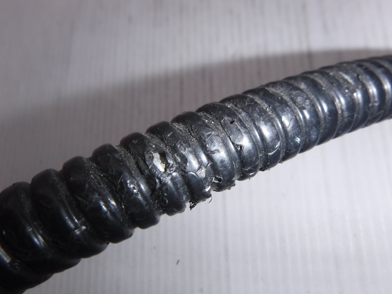 Unbranded Fiber Optic Microscope Ring Light