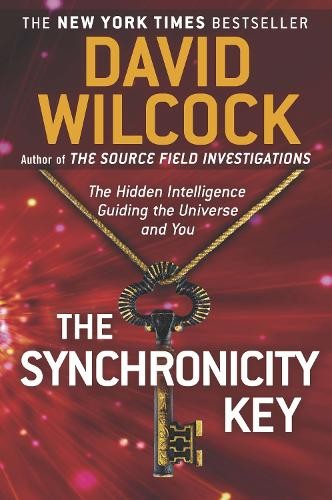 David Wilcock The Synchronicity Key (Paperback)