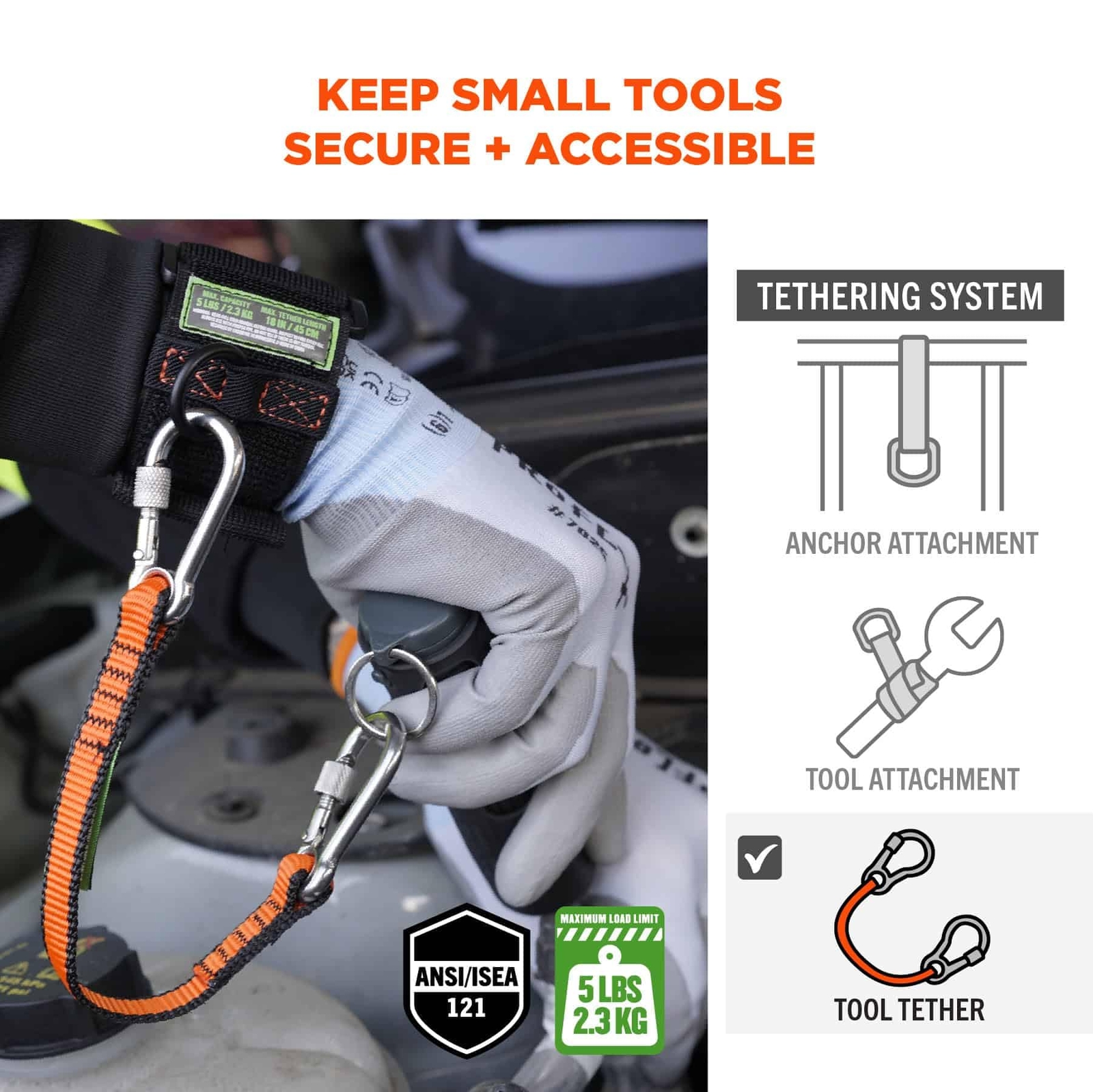 Squids 3154 Nylon Web Tool Tether 12 inch Short Lanyard - Dual Screw-Gate Car...