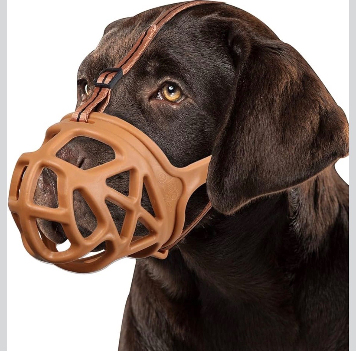 BARKLESS Dog Muzzle, Basket Muzzle for Biting, Chewing and Scavenging, Humane..