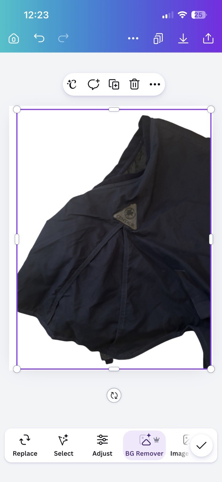 Centaur Stable Sheet 84