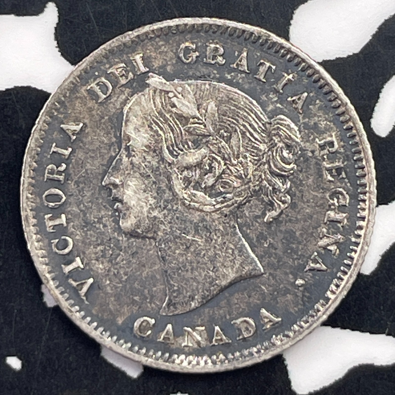 1900 Canada 5 Cents Lot#C2063 Silver! Nice!