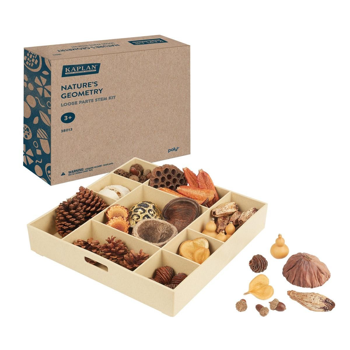 Kaplan Early Learning Nature's Geometry Loose Parts STEM Kit