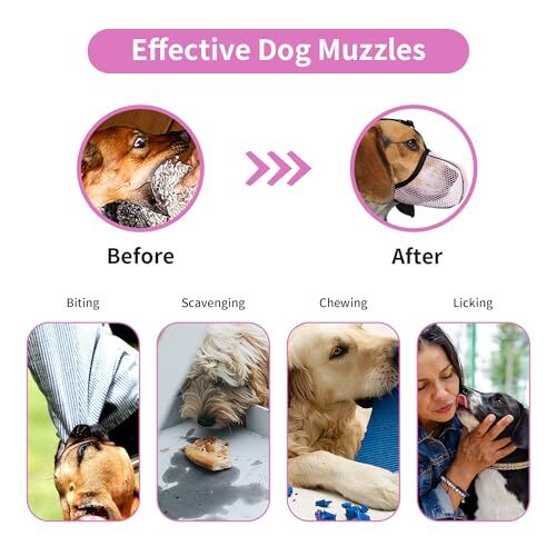 Dog Muzzle Breathable Soft Muzzle for Small Dogs to Anti & Prevent Barking Bi...