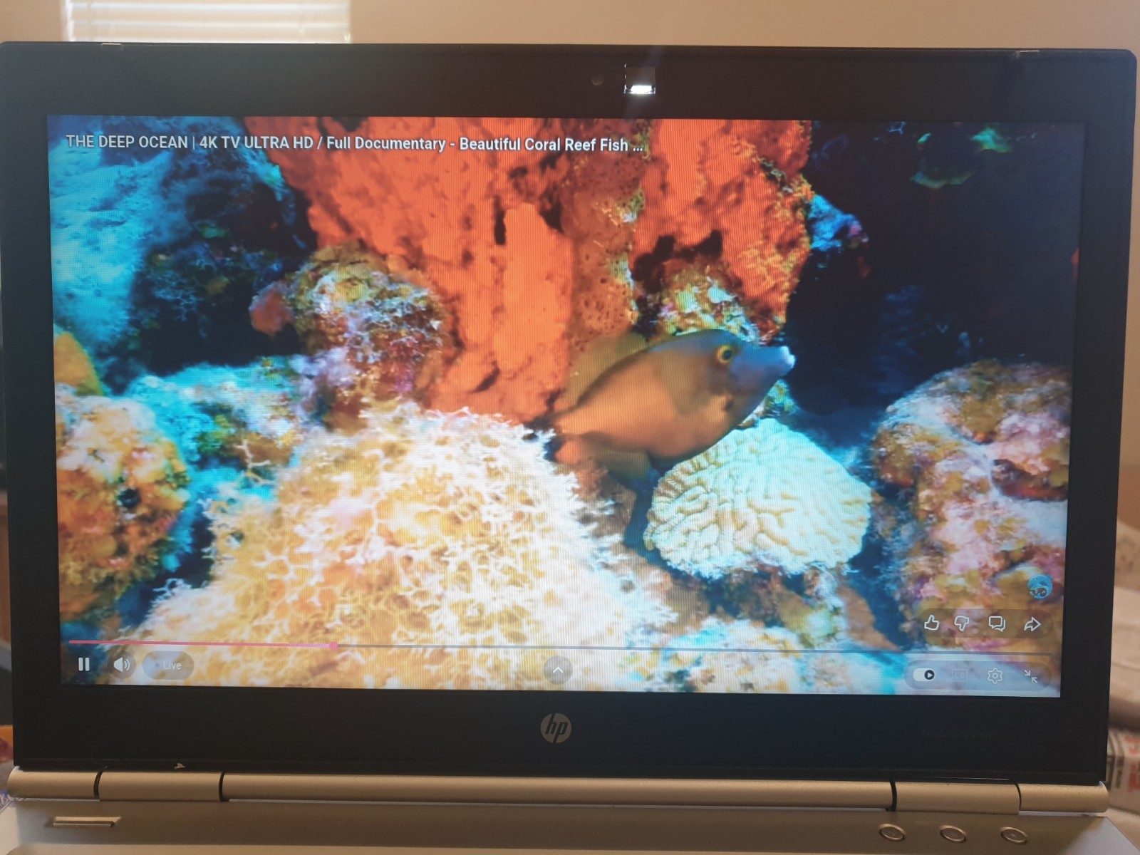 Linux MX V25.2, Xfce, 64-bit, Bootable Live and Install USB Flash Drive