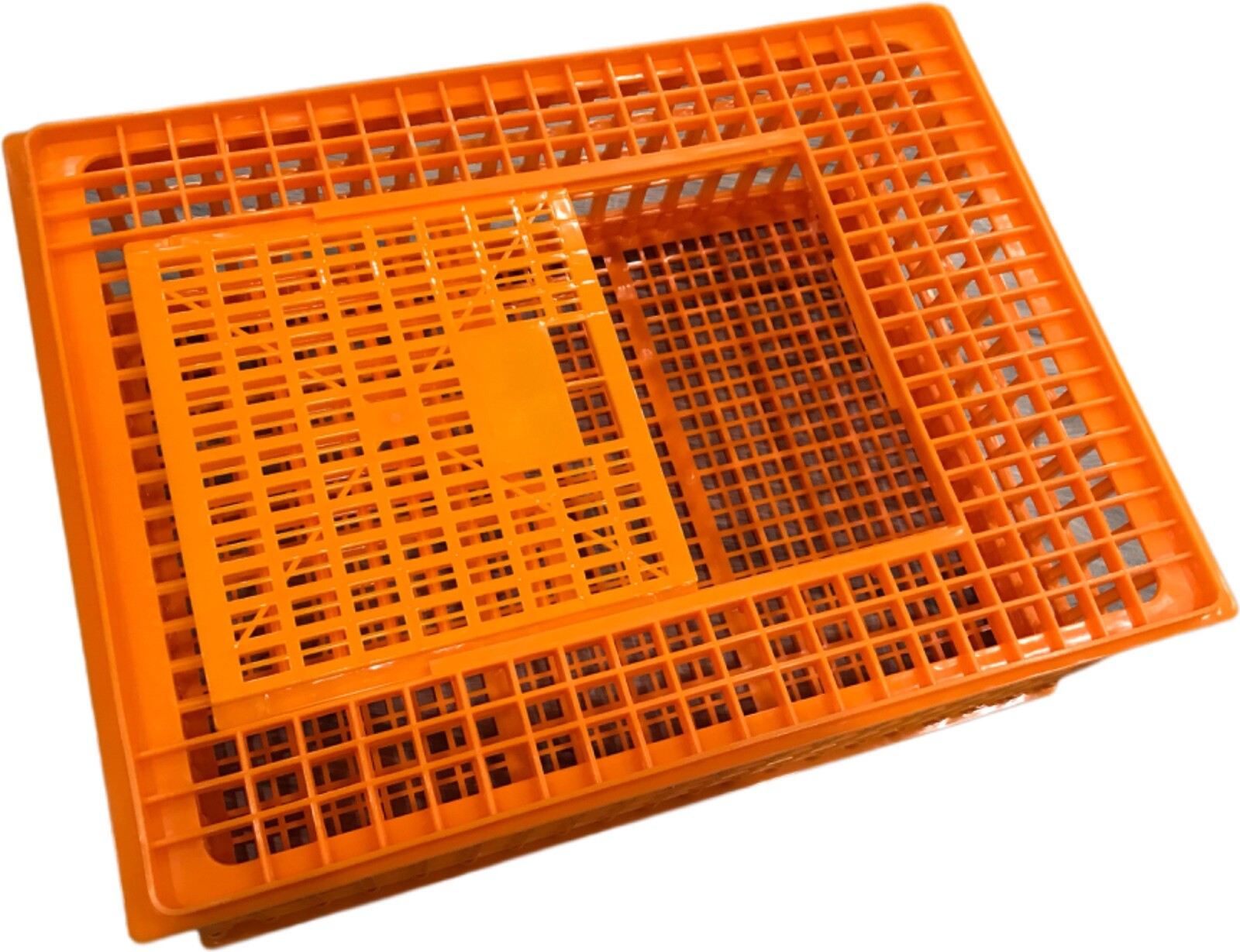 CHICKEN TRANSPORT 4H SHOW CAGE COOP CRATE CHICKEN QUAIL PIGEONS