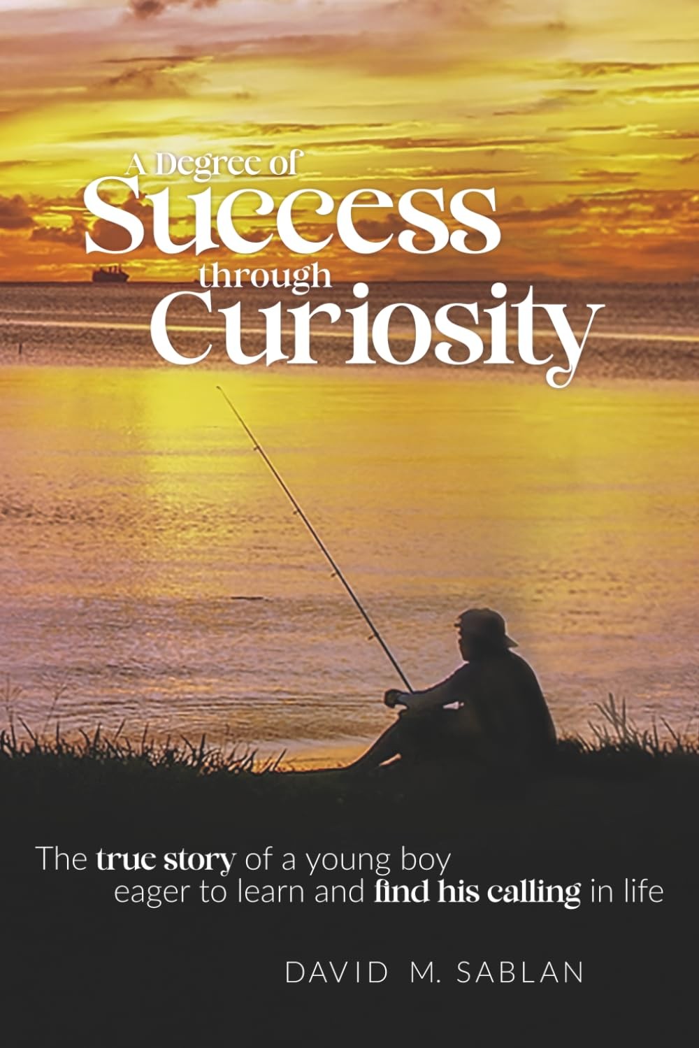 A Degree of Success through Curiosity: The true story of a young boy eager to le