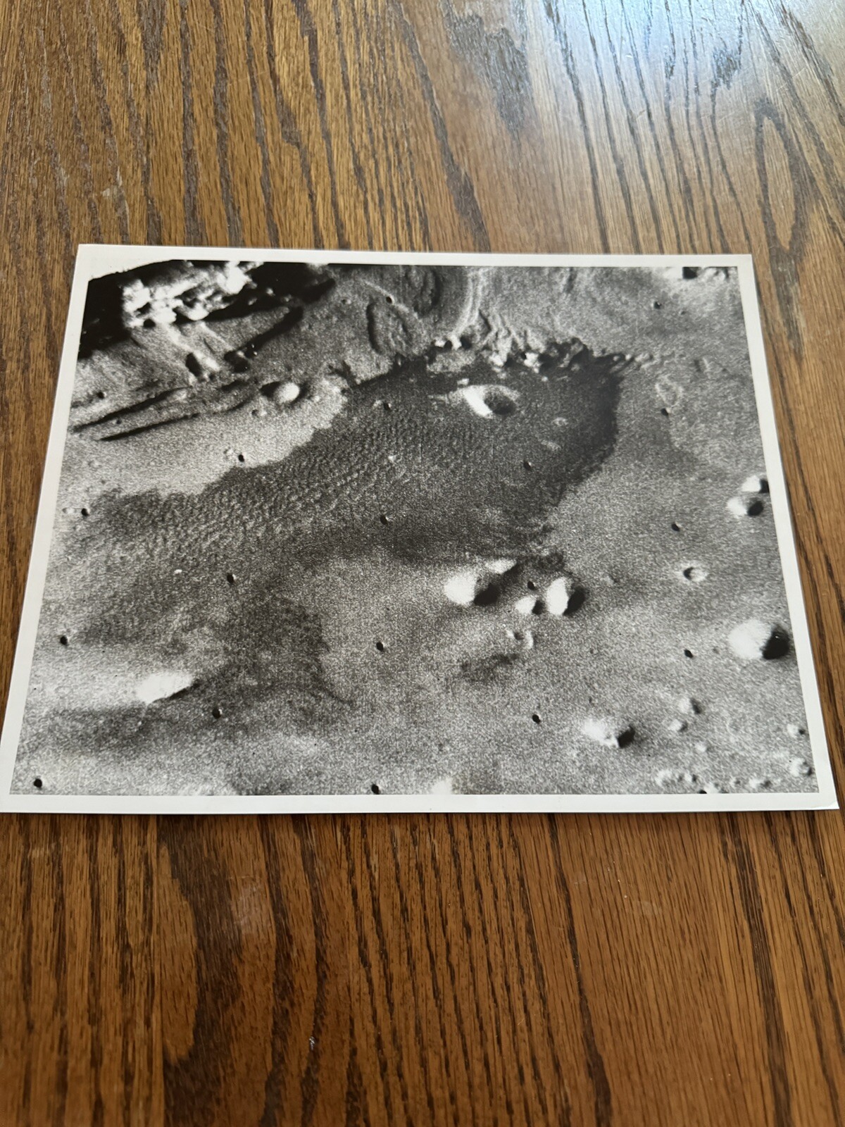 Original 1976 NASA Mars Photo Viking 1 Kodak Paper  JPL July 76 Caption On Back