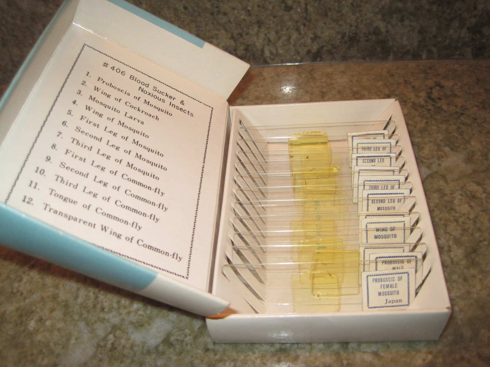 Vintage Skil Craft set of 11 Prepared Microscope Slides of Insects Made in Japan