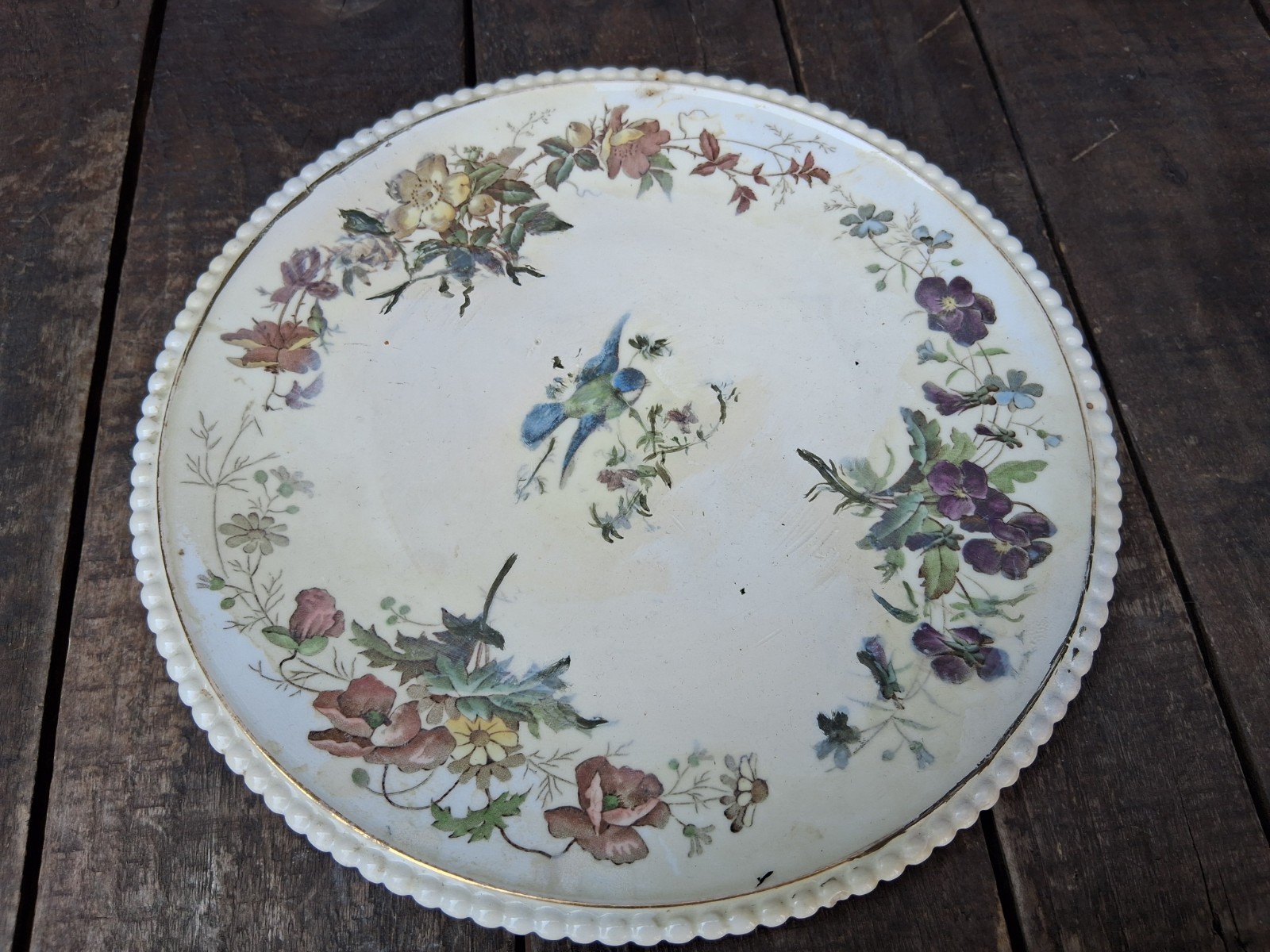 Attractive antique plate featuring A Blue Tit and foliage 1885 FREE P&P