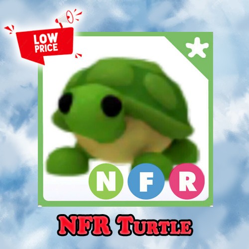 NFR Turtle - Adopt right now