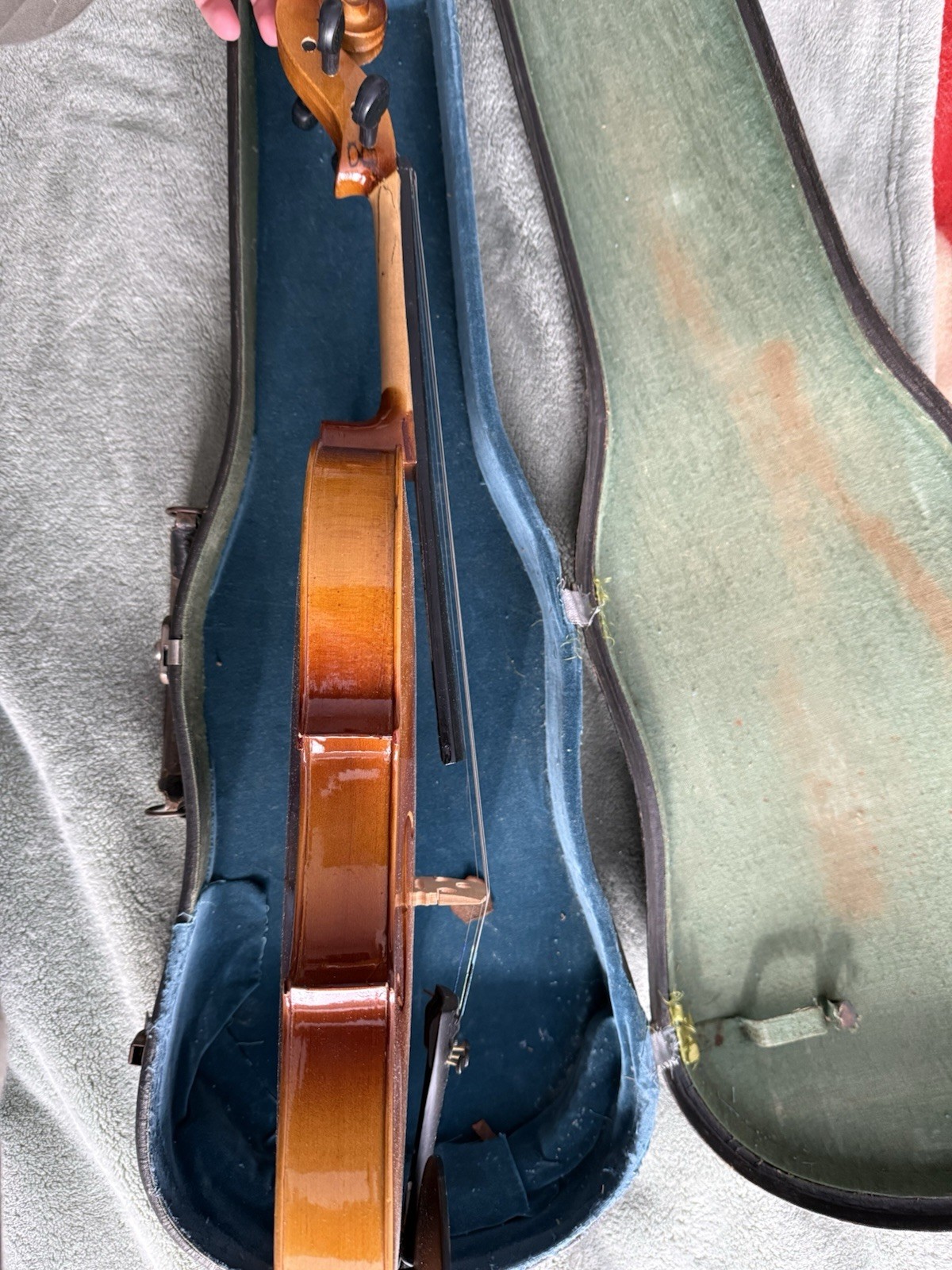 Violín