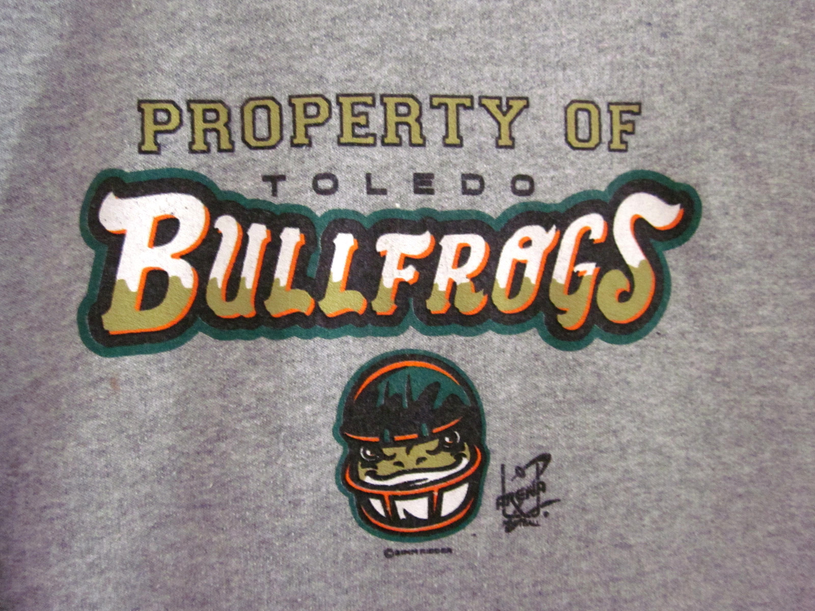 TOLEDO BULLFROGS youth XL hooded sweatshirt arena football OHIO defunct hoodie