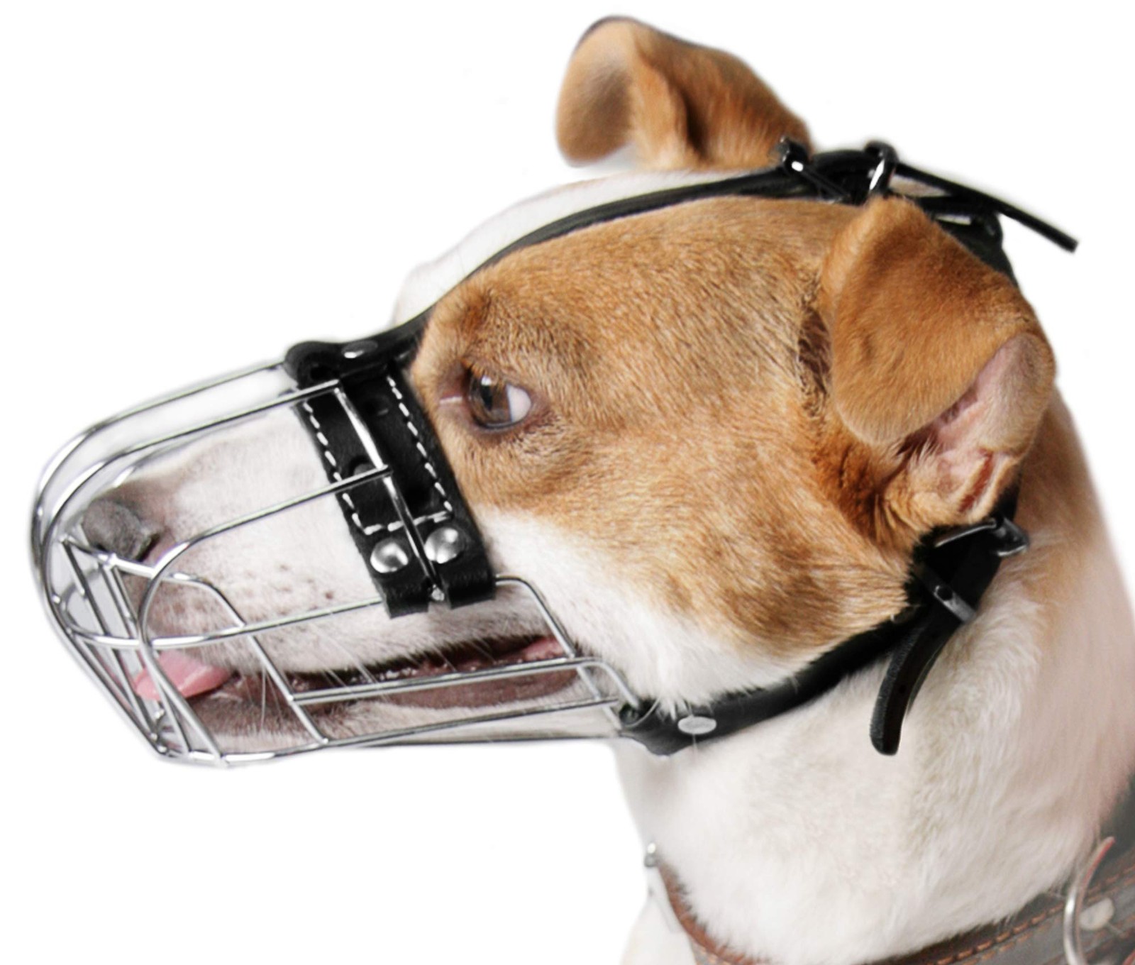 PetriStor Dog Muzzle Wire Basket №1