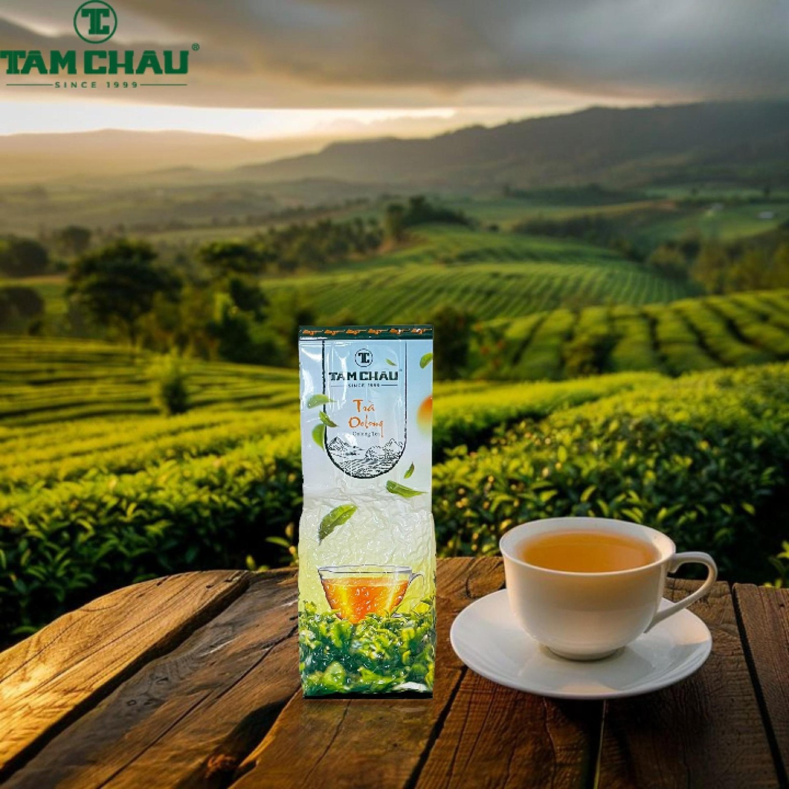 Tam Chau Oolong Tea Bag  Vietnamese Speical Vietnam Vietnamese 250 / 50 grams