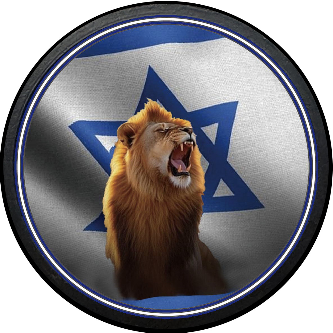 EL18-13 Israel Israeli IDF Operation Rising Lion Am Yisrael Chai Challenge Coin