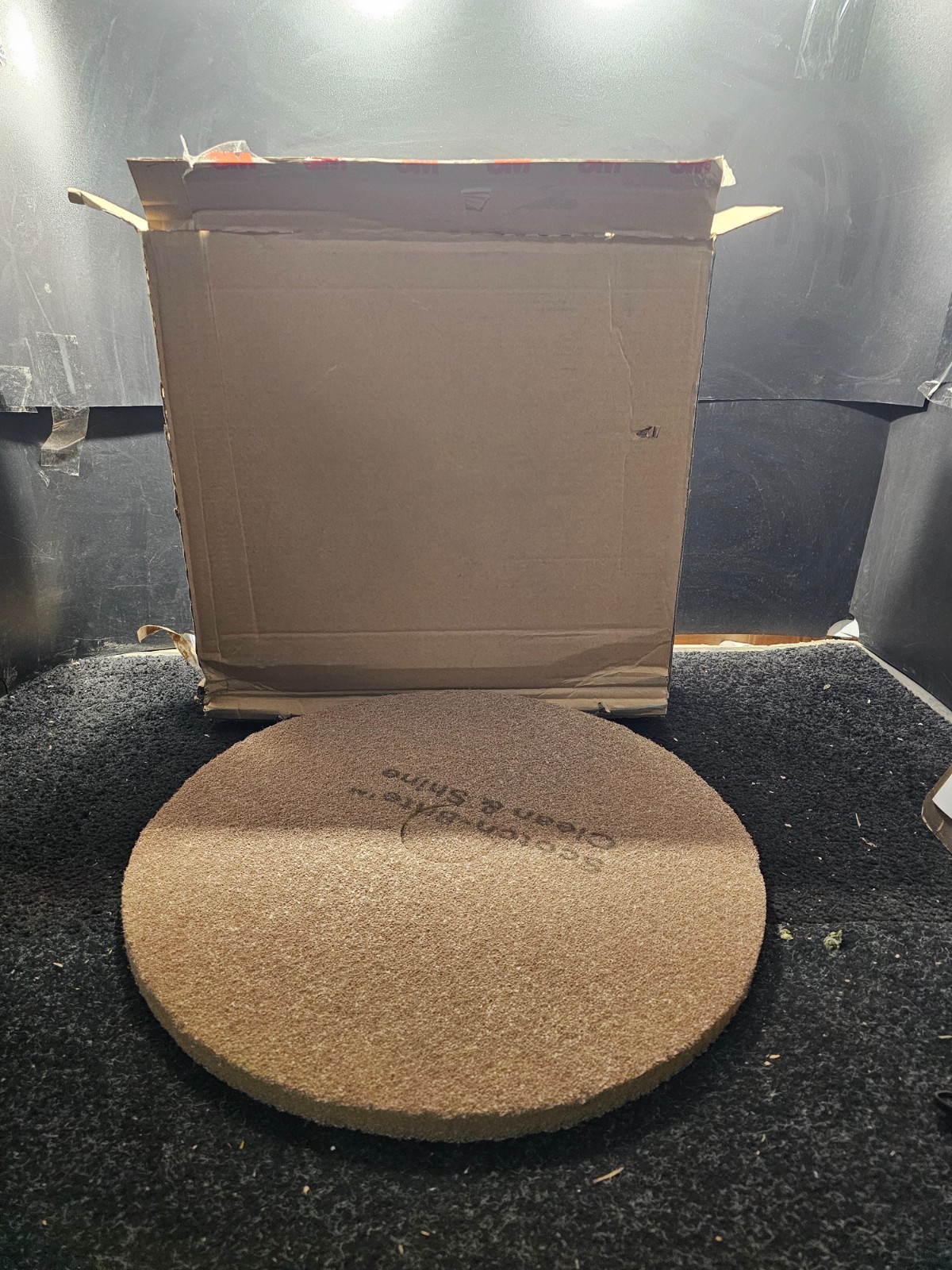 (QTY 5) 3M XE-0060-0116-0  Clean And Shine Pad, 20" Diameter