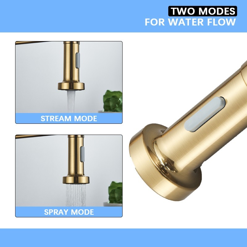 Kitchen Sink Faucet with Pull Down Sprayer Single Handle Spring 2Modes Mixer Tap