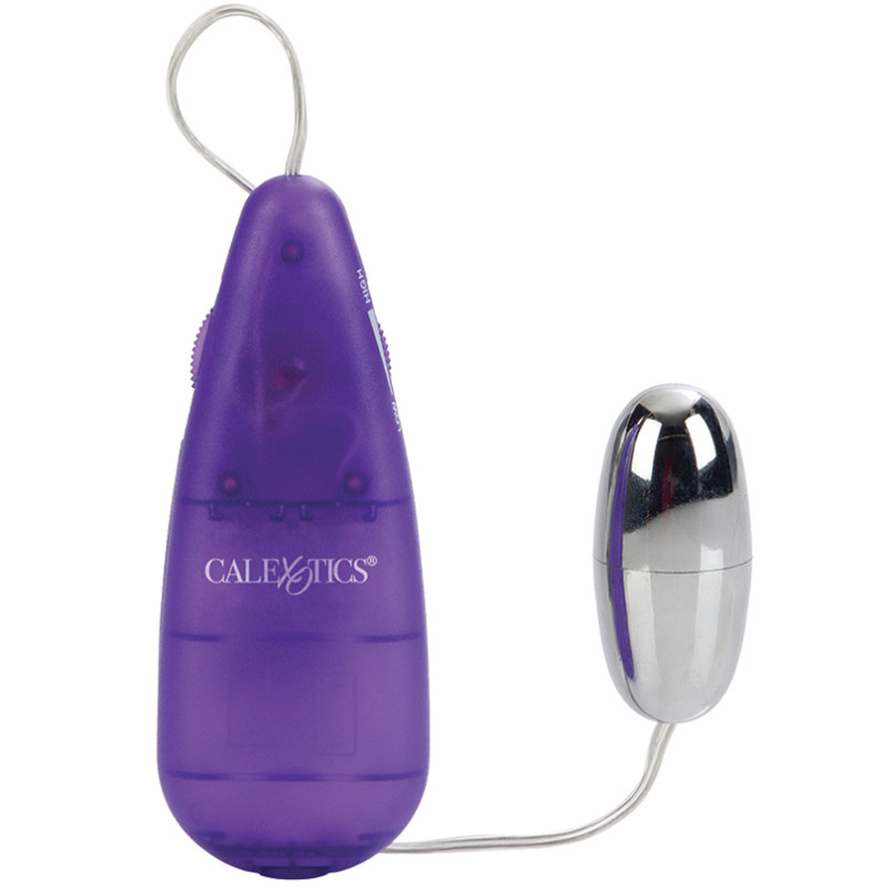 Vibrator Bullet Vibe Vibrating Clitoral Massager Sex Toy for Women Remote PURPLE