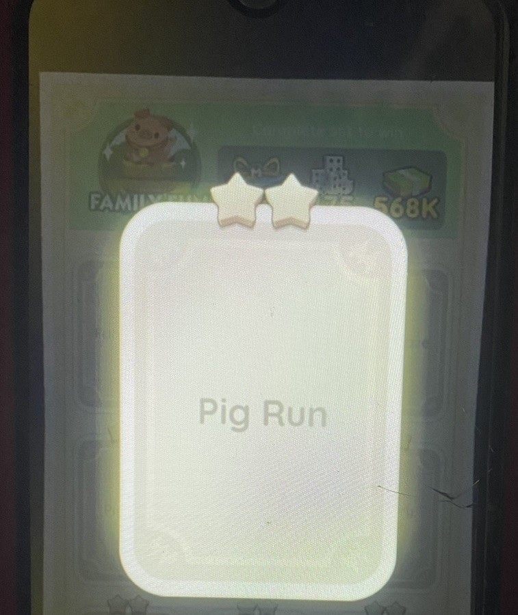 Pig Run⭐️⭐️Set4💙Mono_po-ly Go Sticker