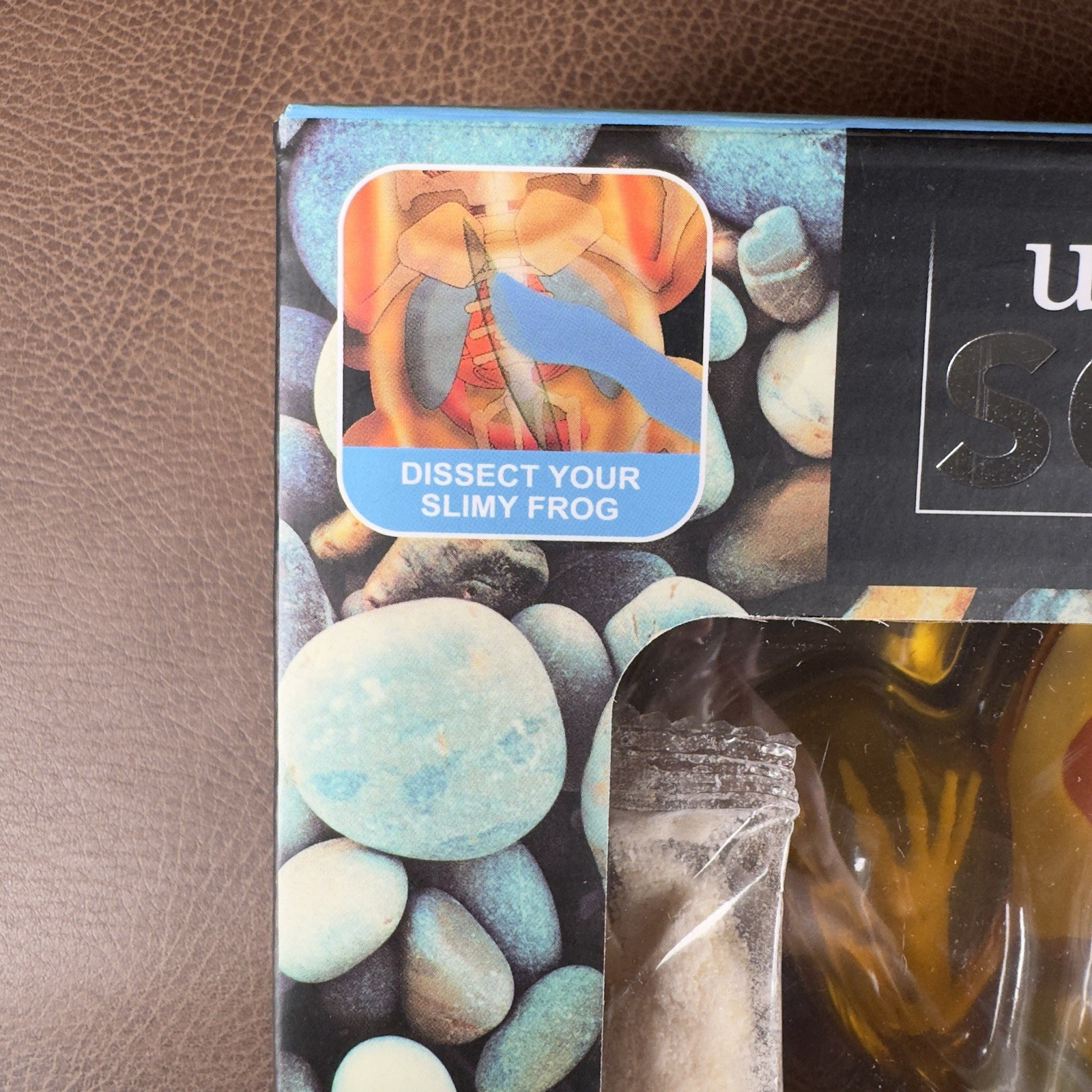 Unbelievable Science Poison Dart Frog Squishy Anatomy Dissecting Kit Educational