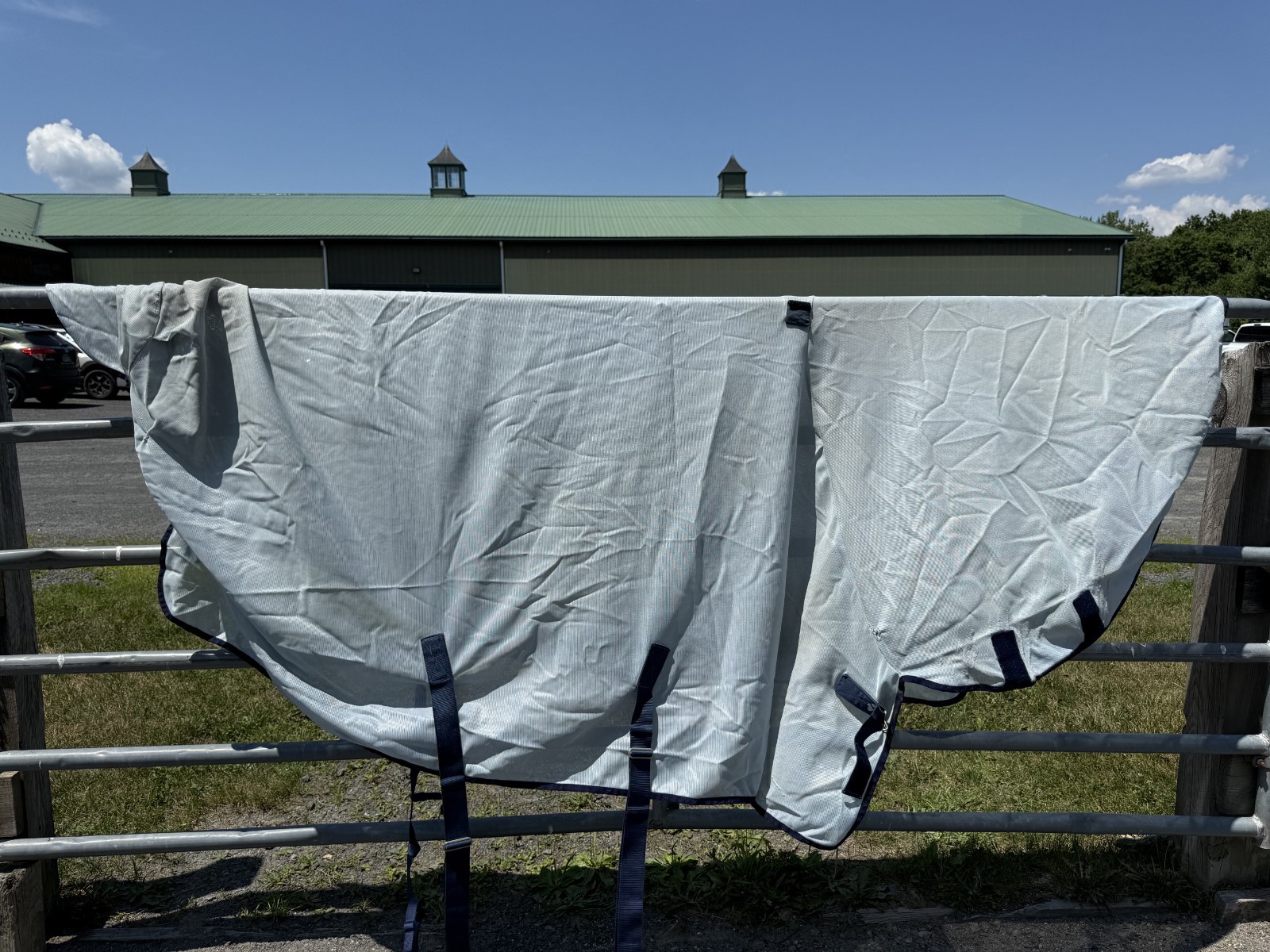 81” Bucas Buzz Off Full Neck Horse Fly Sheet  - Used