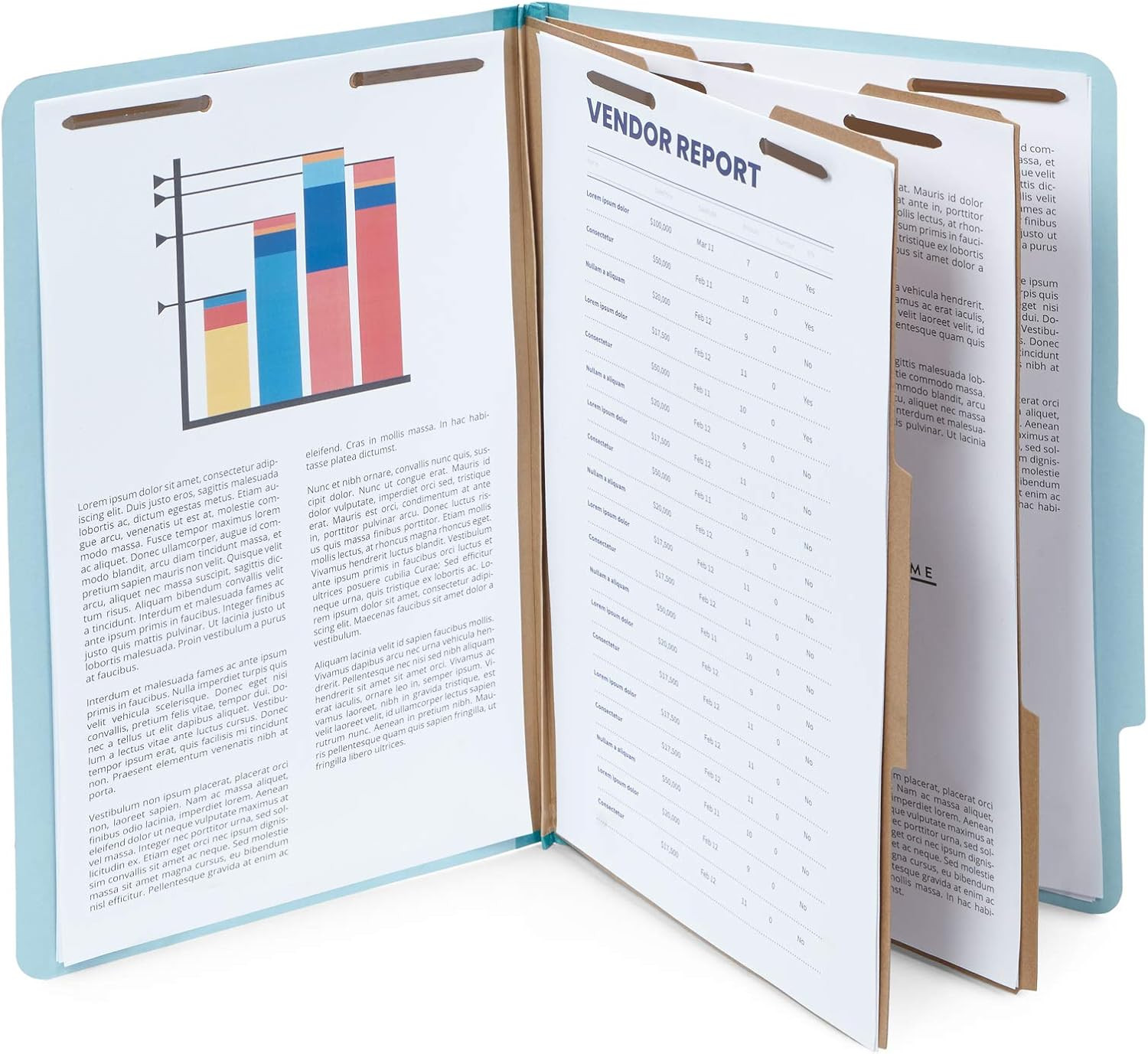 Light Blue Legal Size Classification Folders with Dividers - 30 Pack