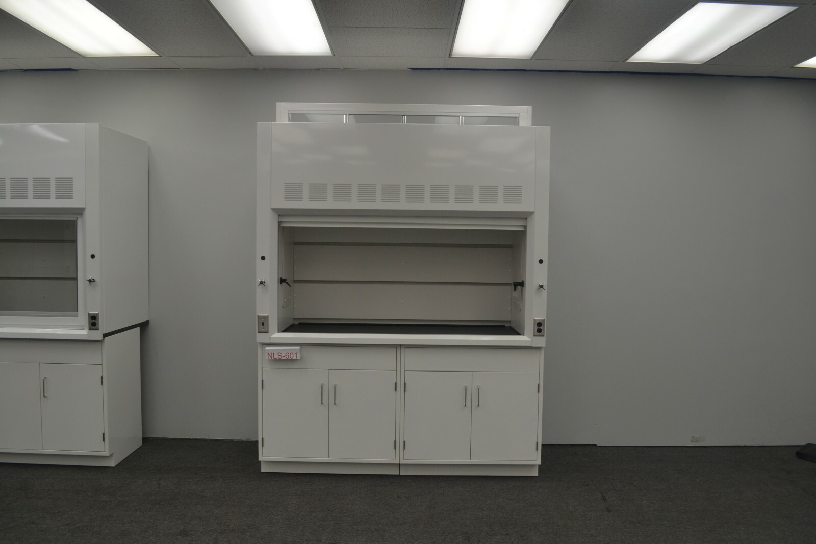 Laboratory 6' Fume Hood Enclosure w/ General Storage / E2-019