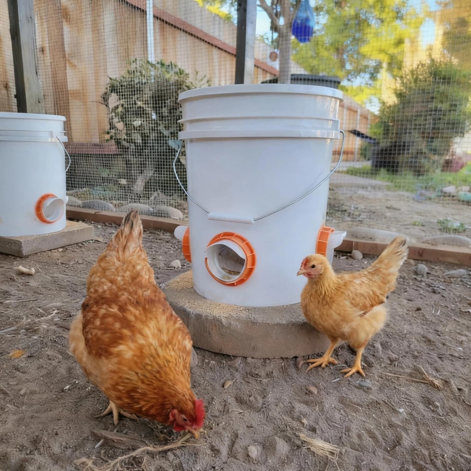 Efficient No Waste Chicken Feeder | 6 Pack with Waterproof Covers & Accessories